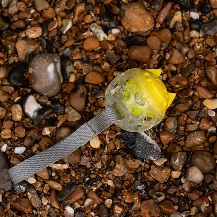 Flash Throw Dog Toy Yellow image 1